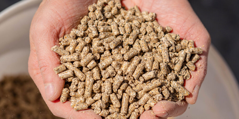 Calf Pellets